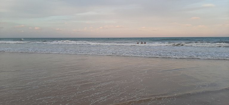 Linda vista para o mar e a natureza