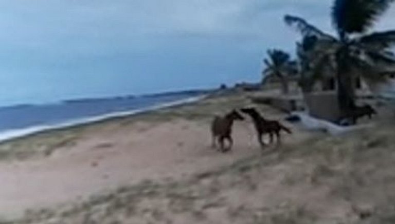 Chale de Graçandu Rosa mobiliado